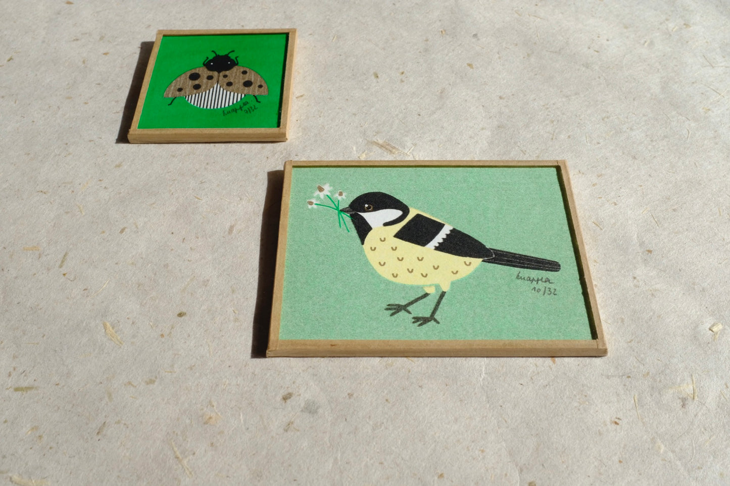 Coffret nisha x knapfla