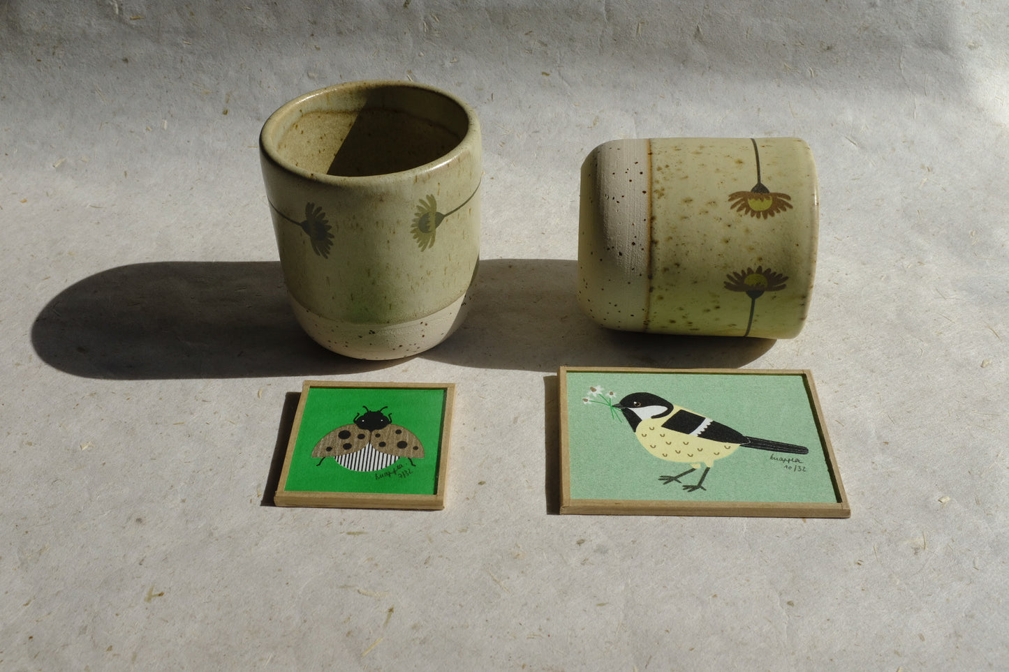 Coffret nisha x knapfla