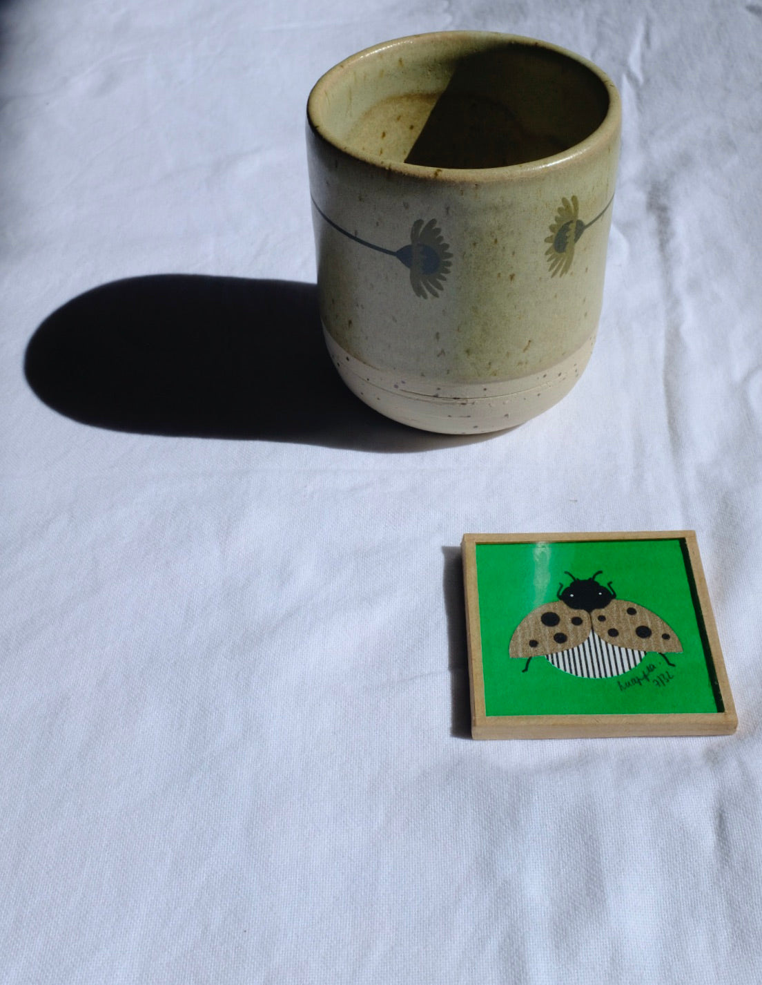 Coffret nisha x knapfla