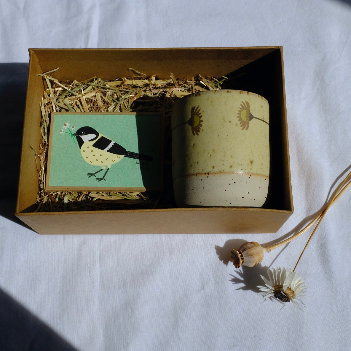 Coffret nisha x knapfla