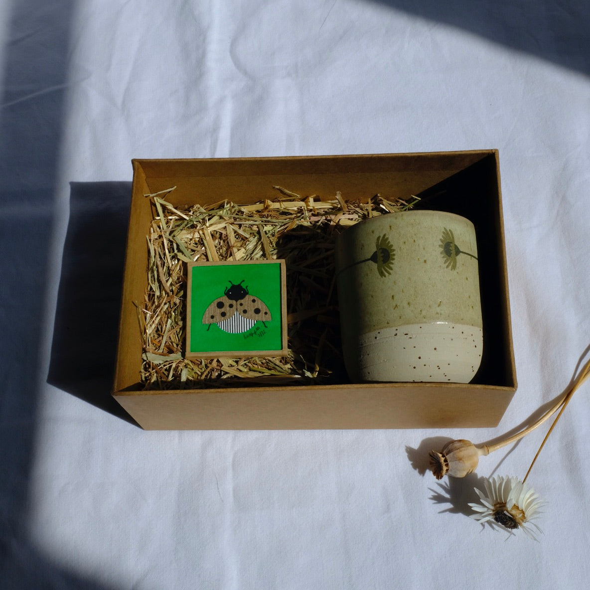 Coffret nisha x knapfla