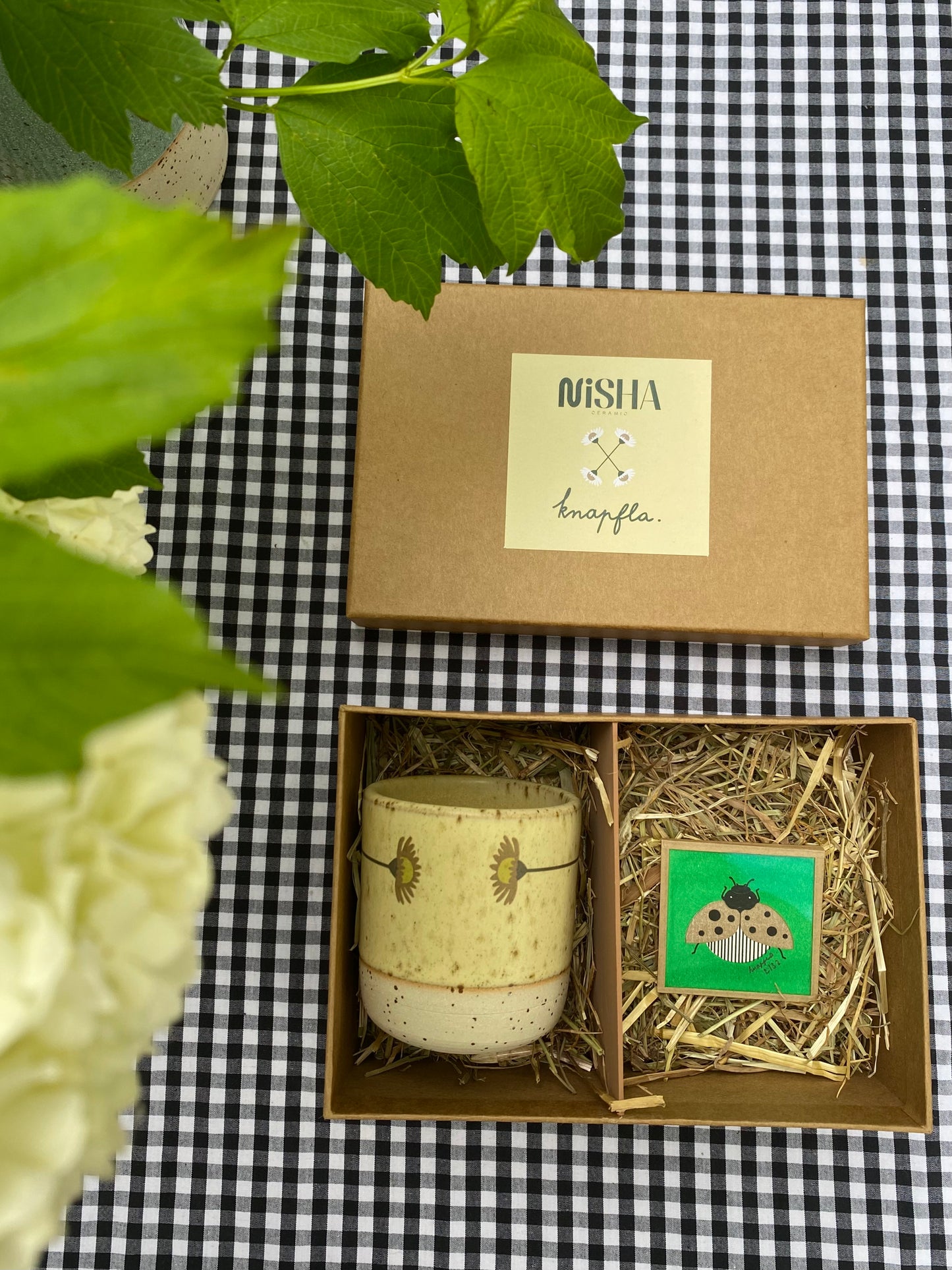 Coffret nisha x knapfla