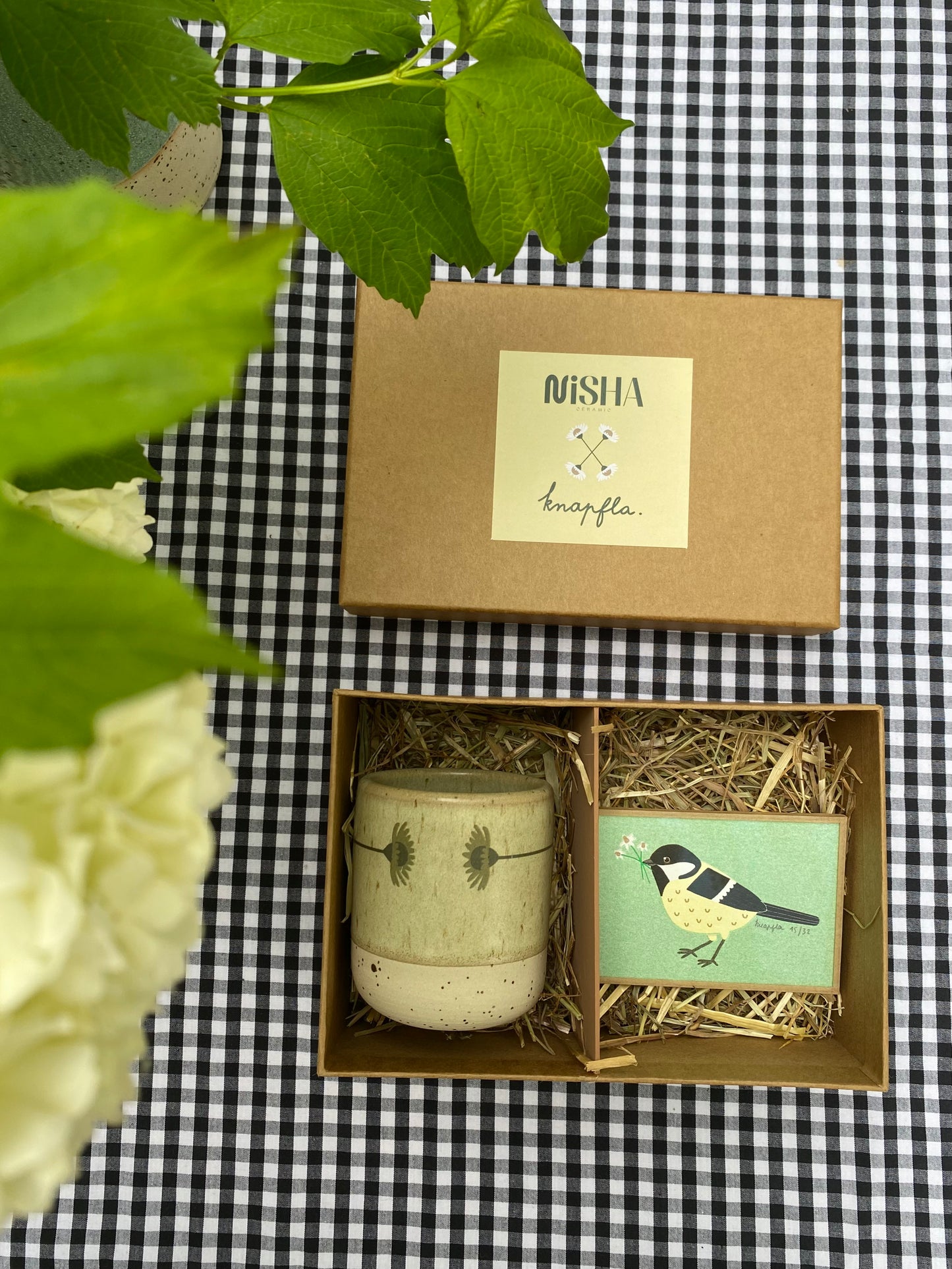 Coffret nisha x knapfla